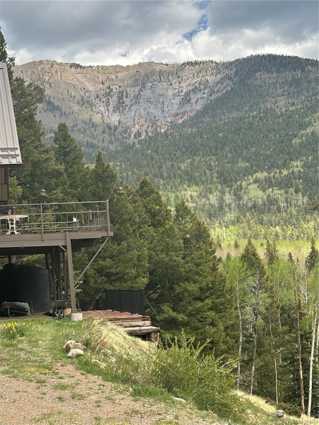 1113 Spring St, Jasper, CO 81144 - photo 14