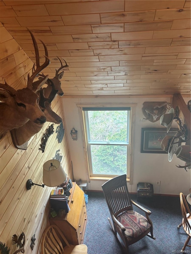 1113 Spring St, Jasper, CO 81144 - photo 16
