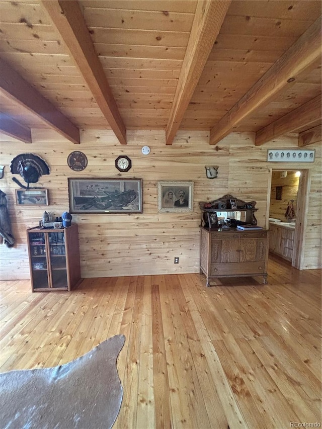 1113 Spring St, Jasper, CO 81144 - photo 21