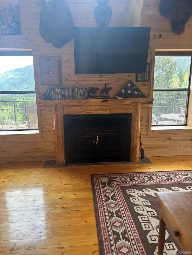 1113 Spring St, Jasper, CO 81144 - photo 22