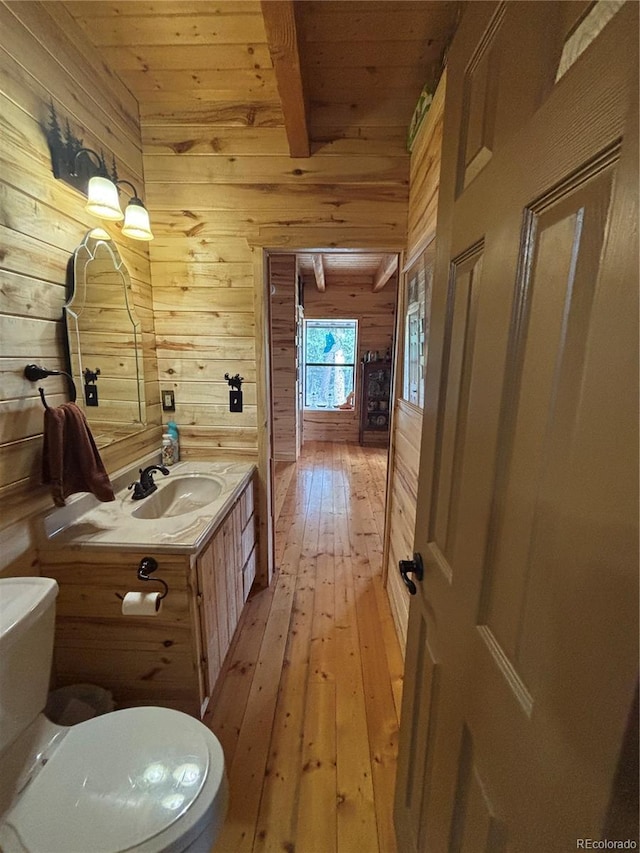 1113 Spring St, Jasper, CO 81144 - photo 26
