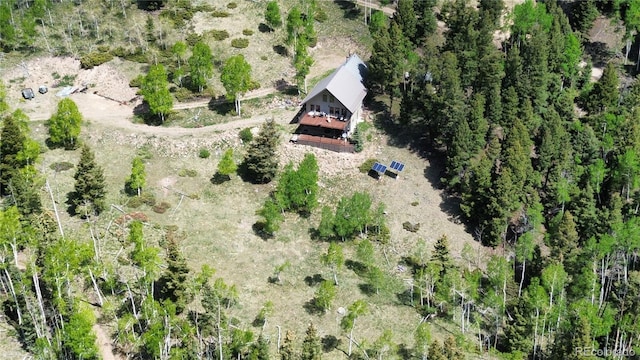 1113 Spring St, Jasper, CO 81144 - photo 40