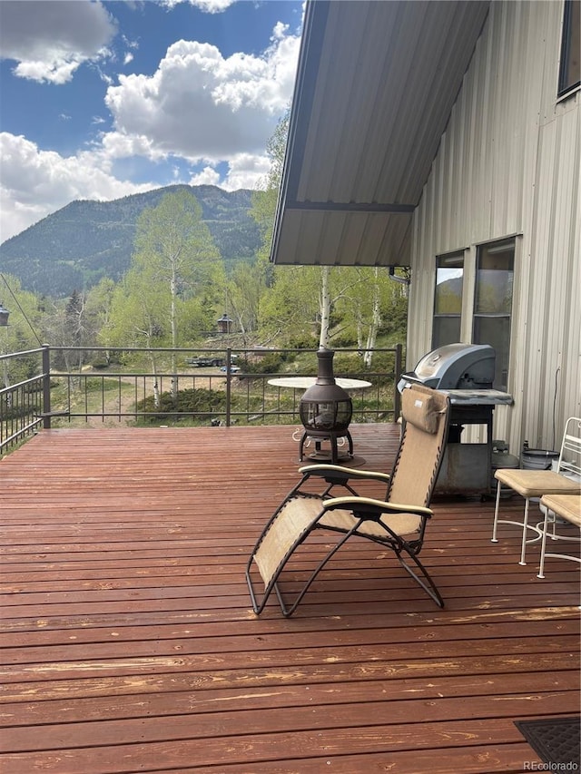1113 Spring St, Jasper, CO 81144 - photo 45