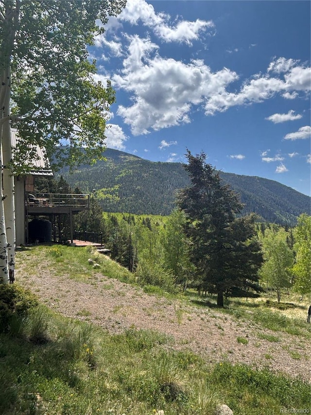 1113 Spring St, Jasper, CO 81144 - photo 46