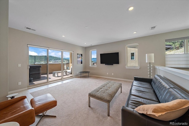 carpeted living room with plenty of natural light