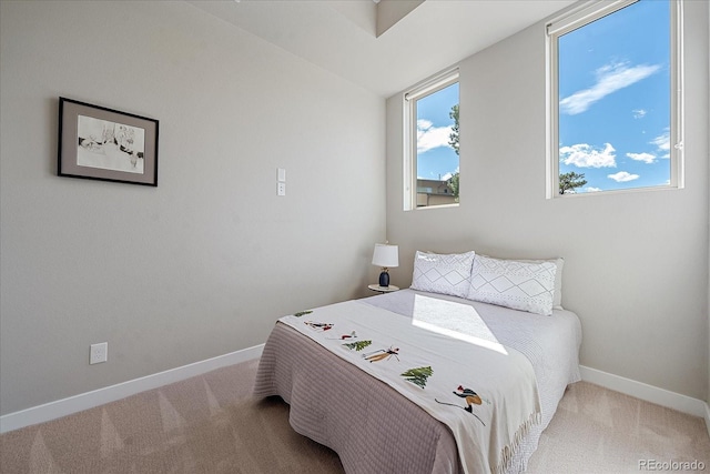 bedroom featuring carpet flooring