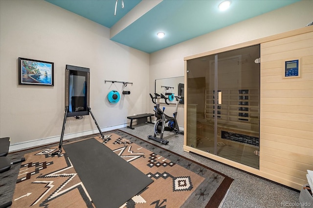 756 Dreamcatcher Ln, Evergreen, CO 80439 - exercise room featuring a sauna / steam room, baseboards, and wood walls
