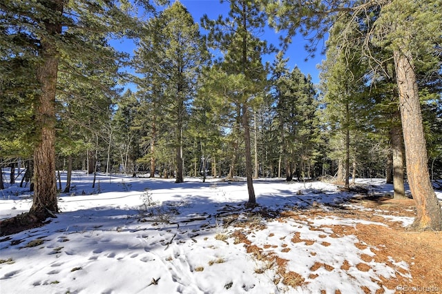 810 Ridge Rd, Divide CO, 80814 land for sale