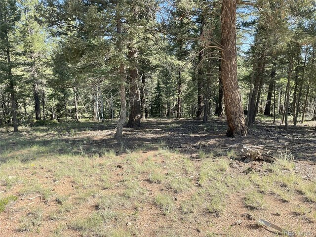 810 Ridge Rd, Divide, CO 80814