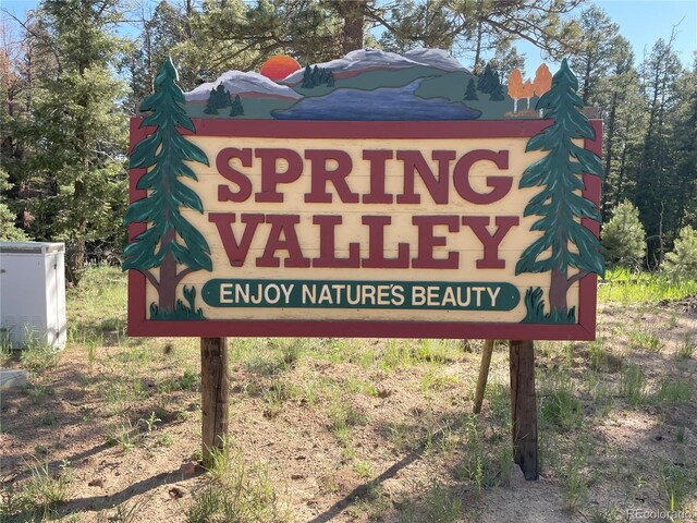 810 Ridge Rd, Divide, CO 80814