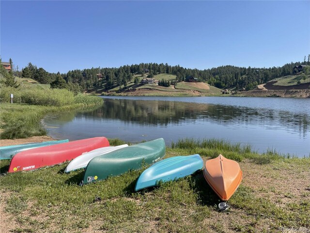 810 Ridge Rd, Divide, CO 80814