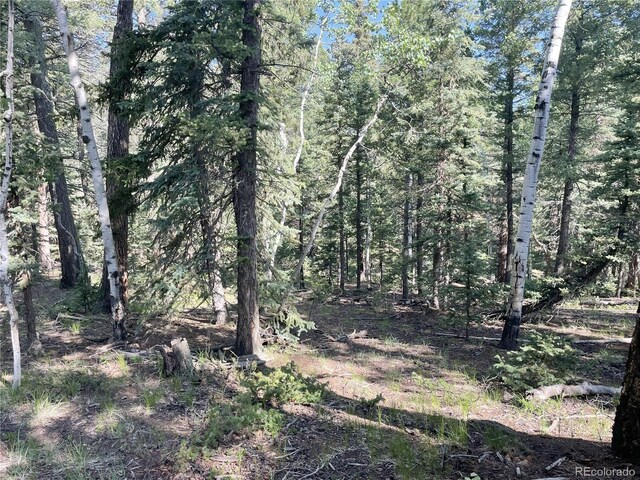 810 Ridge Rd, Divide, CO 80814