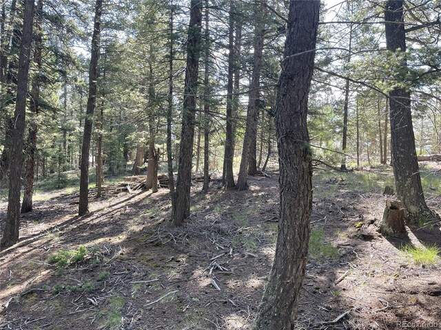 810 Ridge Rd, Divide, CO 80814