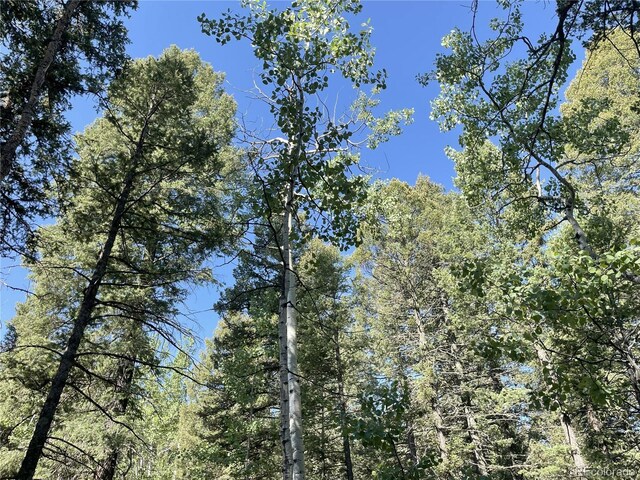 810 Ridge Rd, Divide, CO 80814