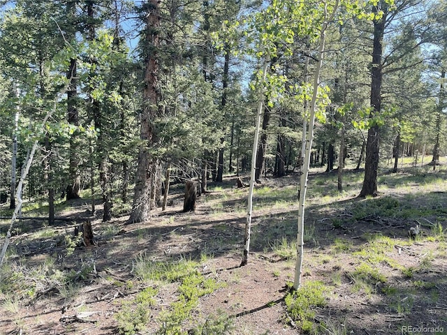 810 Ridge Rd, Divide, CO 80814