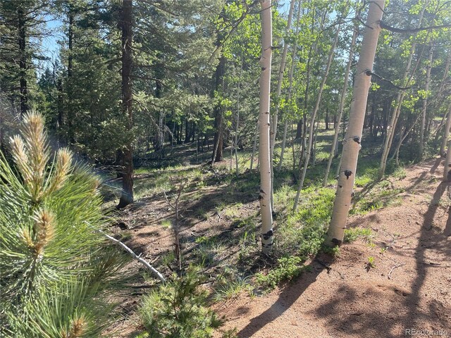 810 Ridge Rd, Divide, CO 80814