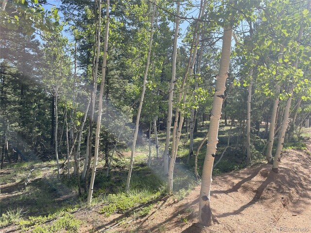 810 Ridge Rd, Divide, CO 80814