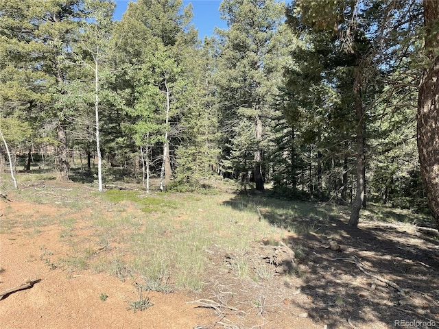 810 Ridge Rd, Divide, CO 80814