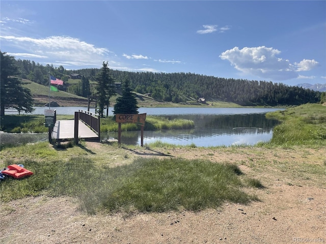 810 Ridge Rd, Divide, CO 80814