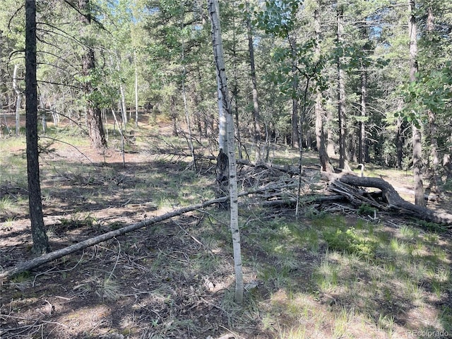 810 Ridge Rd, Divide, CO 80814