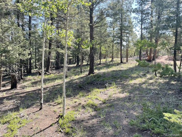 810 Ridge Rd, Divide, CO 80814
