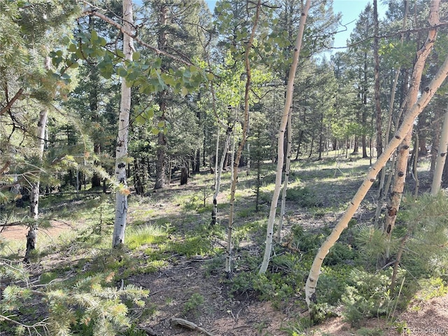 810 Ridge Rd, Divide, CO 80814