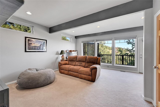 31324 Kings Vly, Conifer, CO 80433 - living room featuring carpet floors, plenty of natural light, baseboards, and recessed lighting