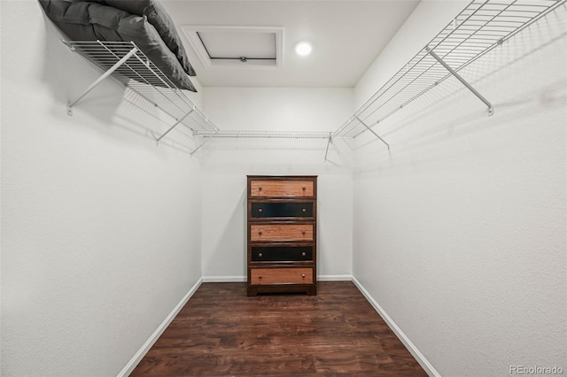 walk in closet featuring dark hardwood / wood-style floors