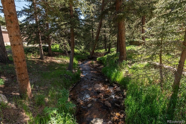 view of local wilderness