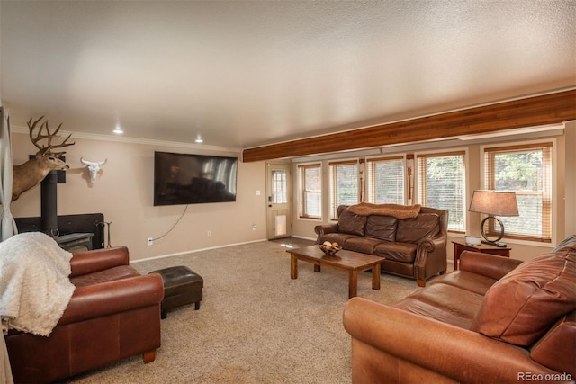 living room featuring light colored carpet