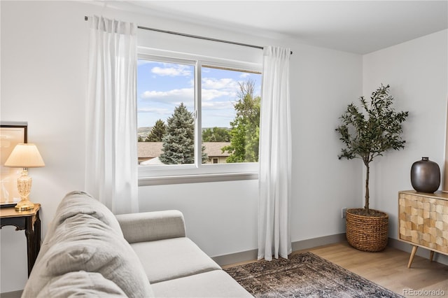 219 Douglas Fir Ave, Castle Rock, CO 80104 - photo 11
