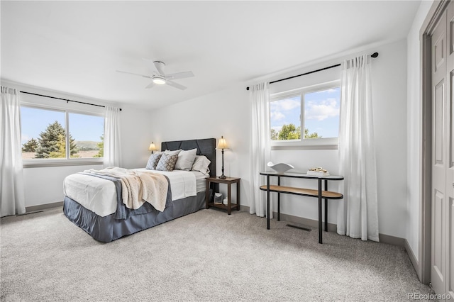 219 Douglas Fir Ave, Castle Rock, CO 80104 - photo 13