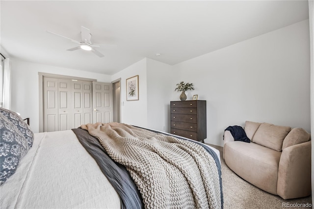 219 Douglas Fir Ave, Castle Rock, CO 80104 - photo 14
