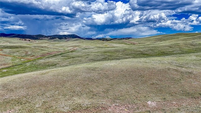 LOT4662 Xtha Trl, Hartsel, CO 80449
