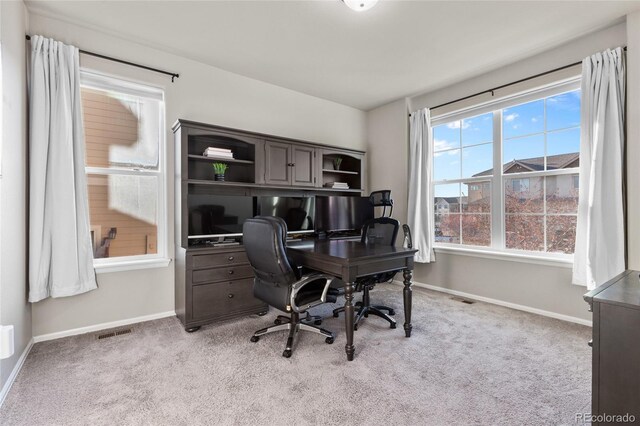 1963 Golden Horizon Dr, Windsor, CO 80550 - photo 7