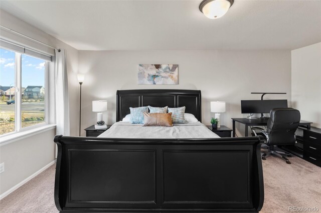 1963 Golden Horizon Dr, Windsor, CO 80550 - photo 24