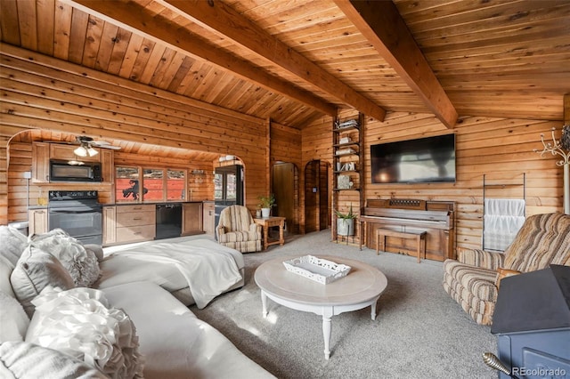 193 Independence Dr, Cripple Creek, CO 80813 - photo 9