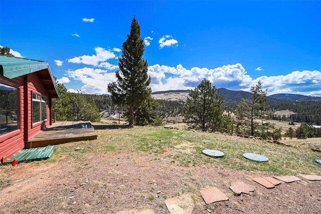 193 Independence Dr, Cripple Creek, CO 80813 - photo 28
