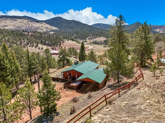193 Independence Dr, Cripple Creek, CO 80813 - photo 36