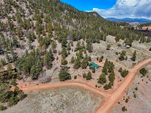 193 Independence Dr, Cripple Creek, CO 80813 - photo 37