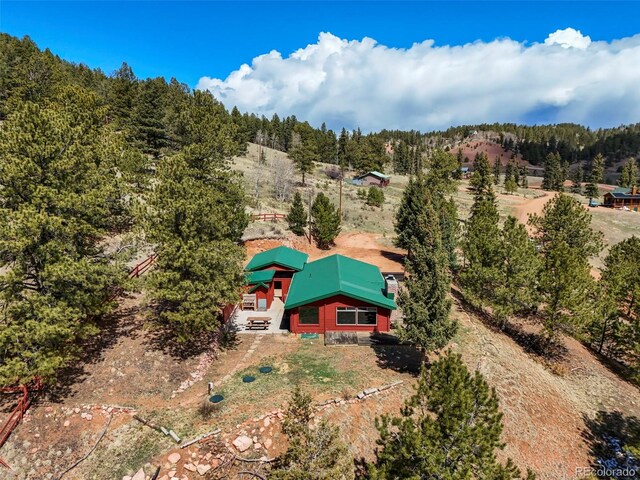 193 Independence Dr, Cripple Creek, CO 80813 - photo 39
