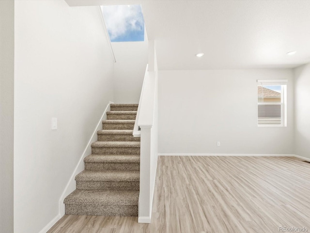 1601 Colorado River Dr, Windsor, CO 80550 - photo 16
