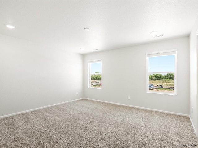 1601 Colorado River Dr, Windsor, CO 80550 - photo 25