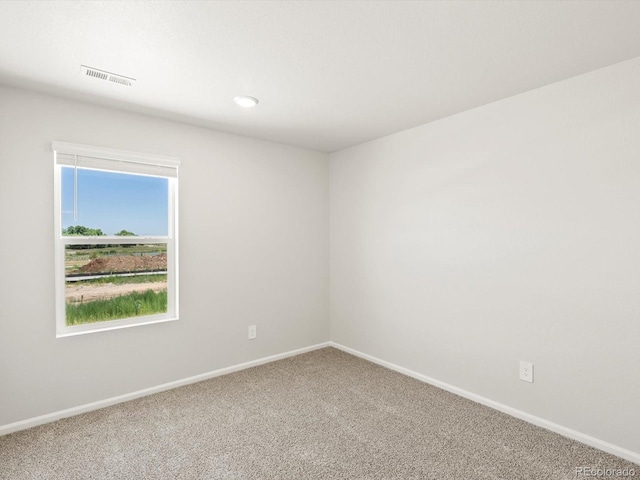 1601 Colorado River Dr, Windsor, CO 80550 - photo 29