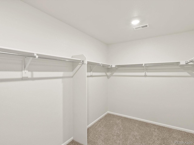 1601 Colorado River Dr, Windsor, CO 80550 - photo 37