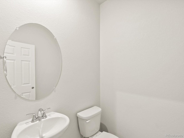 1601 Colorado River Dr, Windsor, CO 80550 - photo 40
