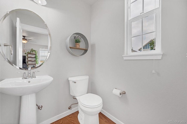 3824 Red Deer Trl Unit B, Broomfield, CO 80020 - photo 11