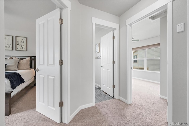3824 Red Deer Trl Unit B, Broomfield, CO 80020 - photo 12