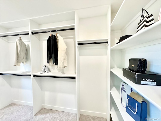 4192 S Vrain St, Denver, CO 80236 - walk in closet with carpet floors