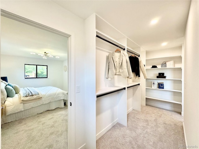 4192 S Vrain St, Denver, CO 80236 - spacious closet with carpet floors